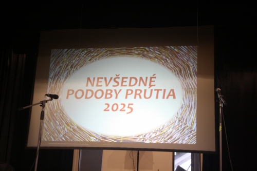 FOTO - Nevšedné podoby prútia 12.4.2025 – fotografia 414