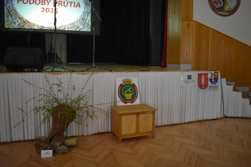FOTO - Nevšedné podoby prútia 12.4.2025 – fotografia 386
