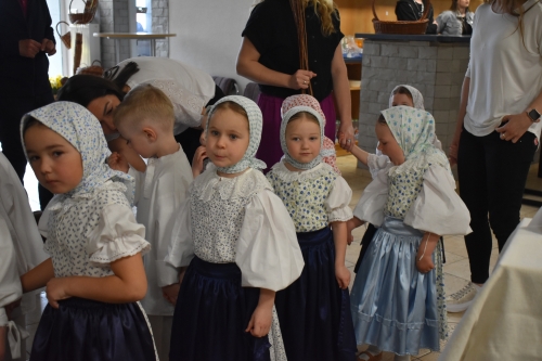 FOTO - Nevšedné podoby prútia 12.4.2025 – fotografia 83