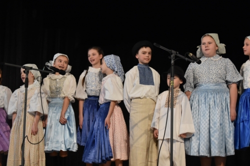 FOTO - Nevšedné podoby prútia 12.4.2025 – fotografia 173