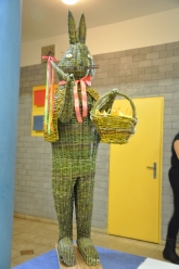 Fotografia: Nevšedné podoby prútia 12.3.2016