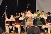 Fotografia: Nevšedné podoby prútia 12.3.2016