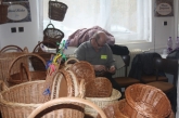 Fotografia: Nevšedné podoby prútia 17.3.2018