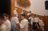 Fotografia: Nevšedné podoby prútia 17.3.2018