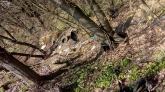 Fotografia: 5. apríl 2019 - upratovanie obce 