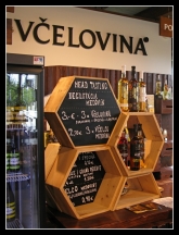 Fotografia: 17. máj 2019 - výlet dôchodcov Červený kameň, Smolenice, Bradlo, Košariská