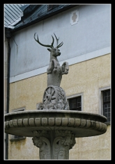 Fotografia: 17. máj 2019 - výlet dôchodcov Červený kameň, Smolenice, Bradlo, Košariská