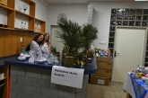 Fotografia: Vianočné trhy 14.12.2022