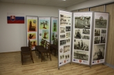Fotografia: Nevšedné podoby prútia r. 2022