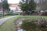 Fotografia: Nevšedné podoby prútia r. 2022