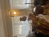 Fotografia: Nevšedné podoby prútia r. 2024